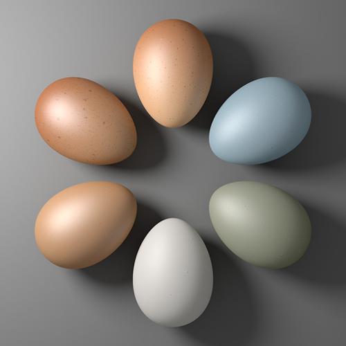 Various Chicken Eggs preview image